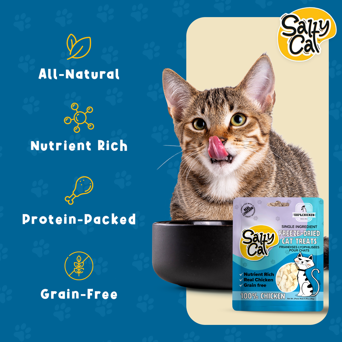 Salty Cat Freeze-Dried Chicken Flavor Crunchy Treats for Cats, 10g Bag — product image 6