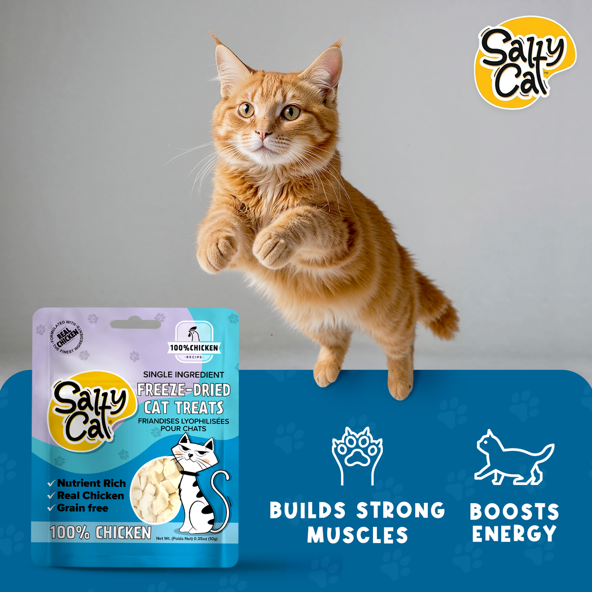 Salty Cat Freeze-Dried Chicken Flavor Crunchy Treats for Cats, 10g Bag — product image 9