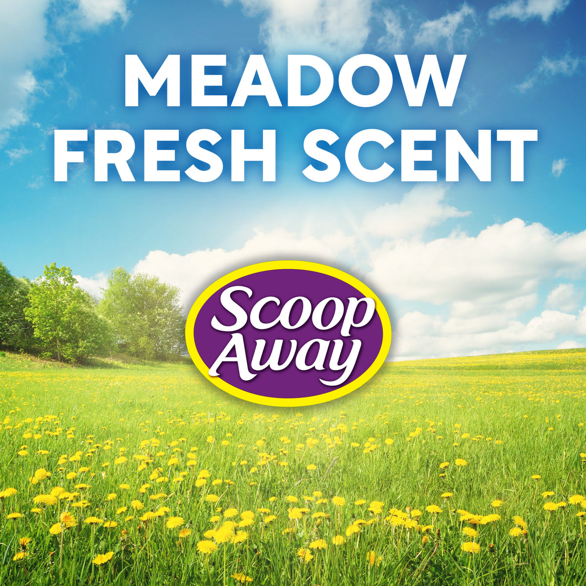 Scoop Away Multi Cat Litter With Meadow Fresh Scent, 14 lb. Box — product image 9