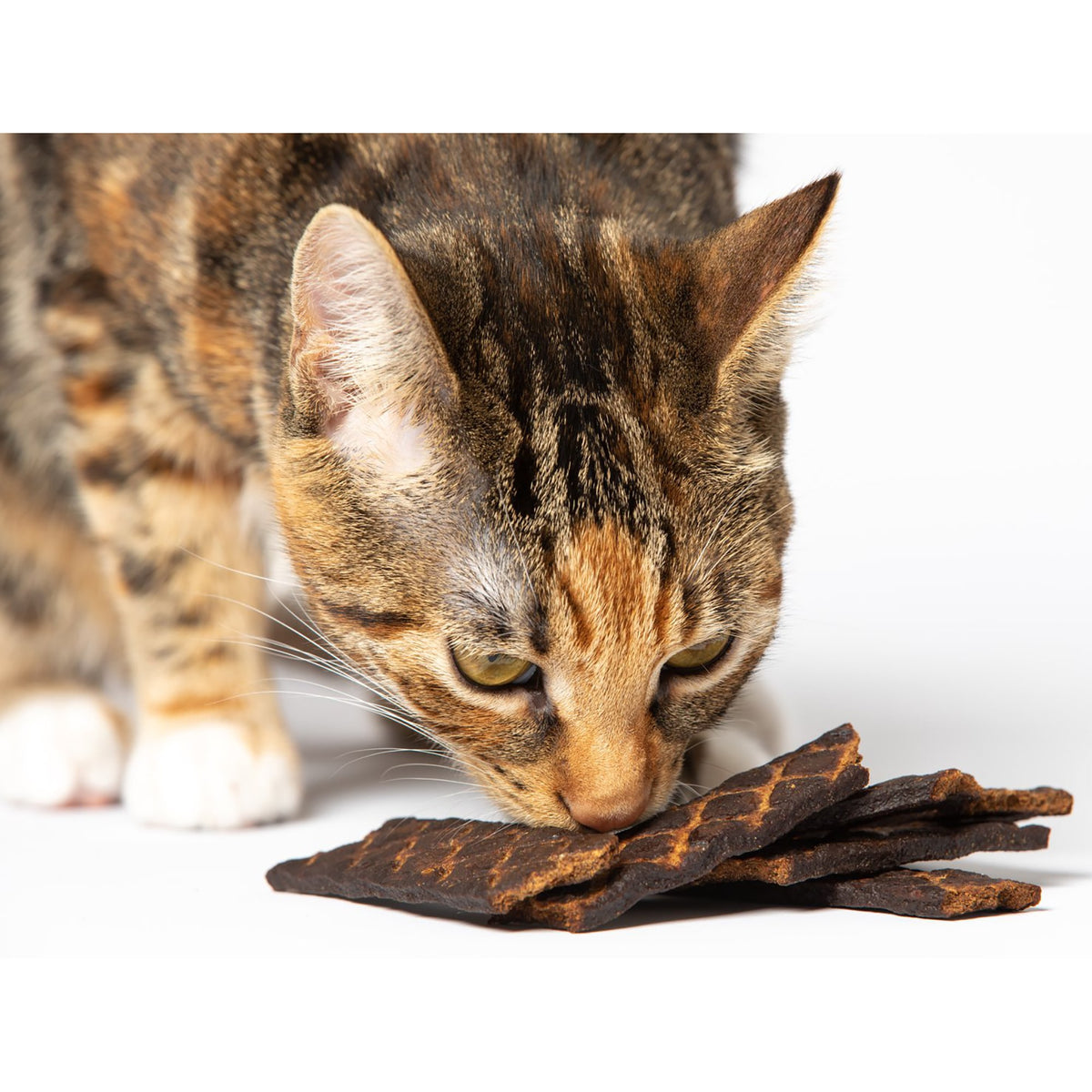 Scout & Zoe's: Carp Fish Spears - 1.5oz Cat Jerky Treats, Smoked Feline Chews, Limited Ingredients, Crunchy Protein, Pet Snack & Reward USA Sourced — product image 4