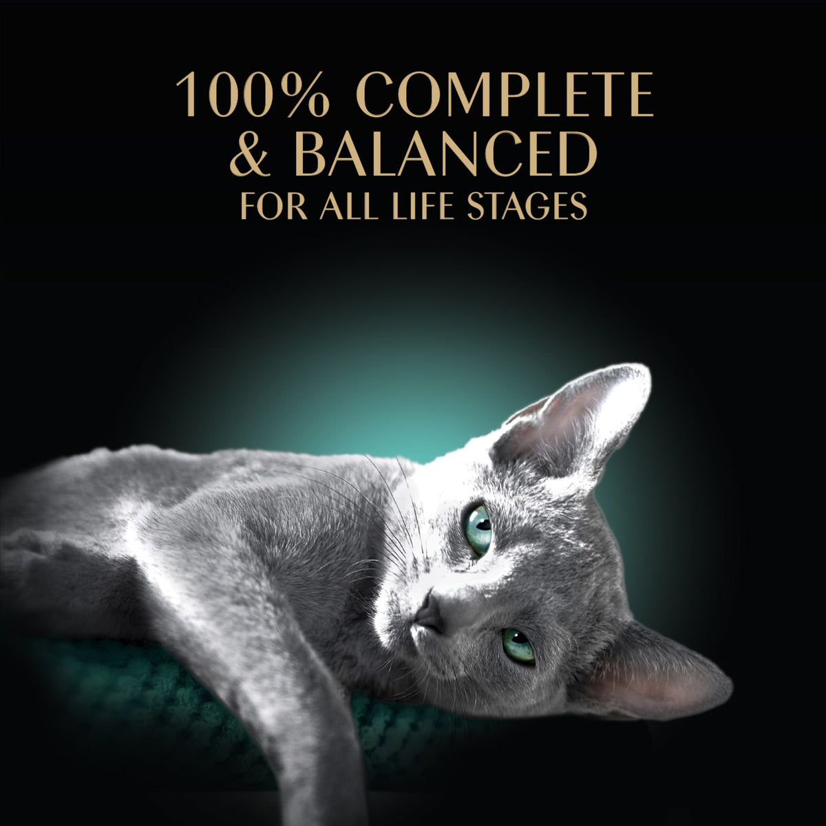 Sheba Perfect Portions Variety Pack Wet Cat Food Pate, 2.6 Oz Twin-Pack Trays — product image 5