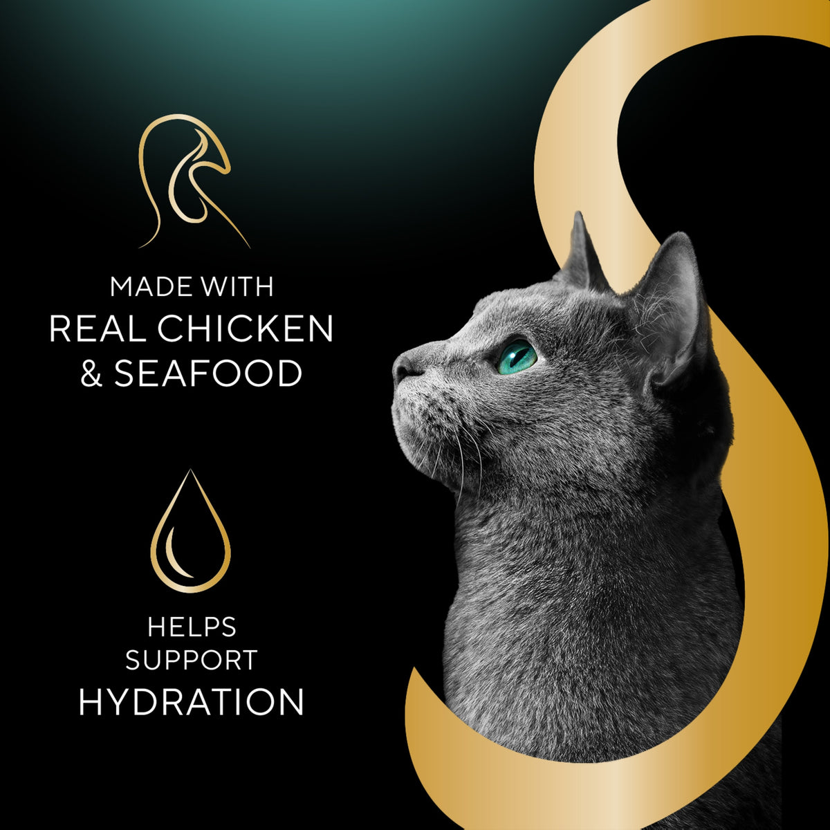Sheba Selections Filets in Broth Chicken Flavor Wet Cat Food Meal Complement, 1.3 oz Cup — product image 4