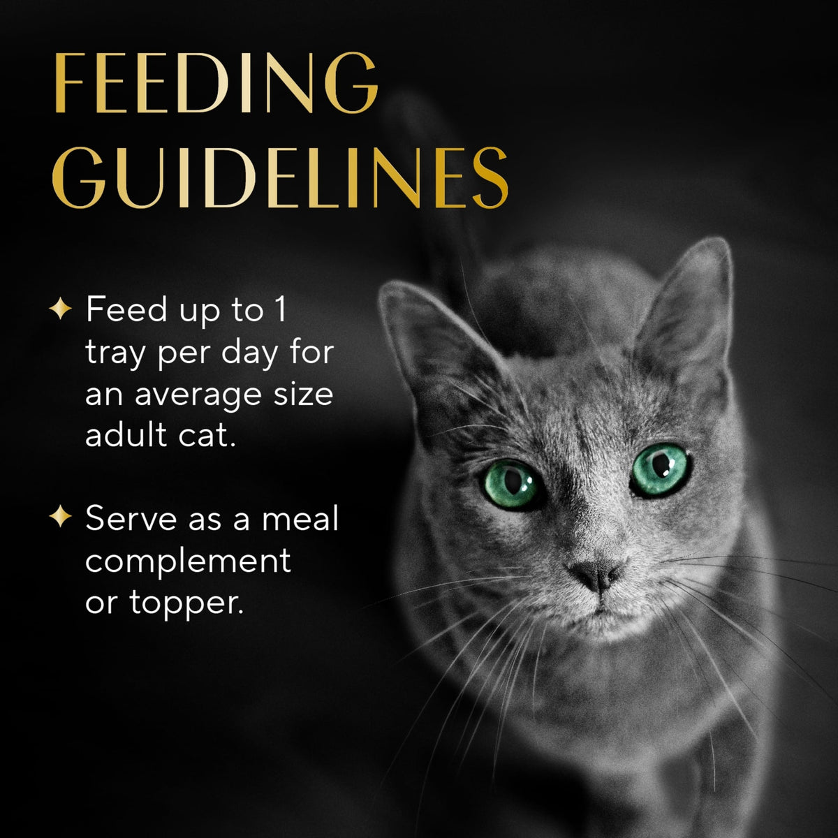 Sheba Selections Filets in Broth Chicken Flavor Wet Cat Food Meal Complement, 1.3 oz Cup — product image 7
