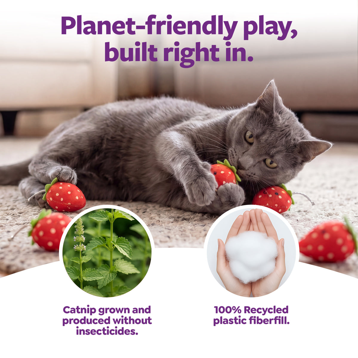 SmartKat Market Strawberries — product image 5