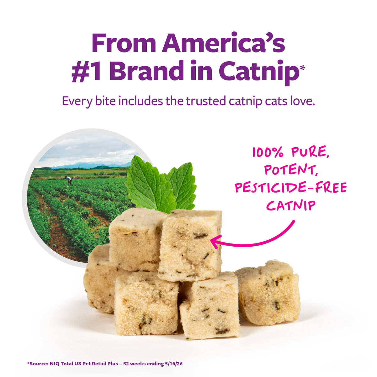 SmartyKat Freeze Dried Real Chicken & Catnip Crunchy Cube Treats for Cats, 0.5 oz Bag — product image 3