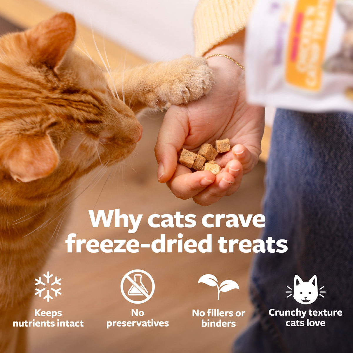 SmartyKat Freeze Dried Real Chicken & Catnip Crunchy Cube Treats for Cats, 0.5 oz Bag — product image 5