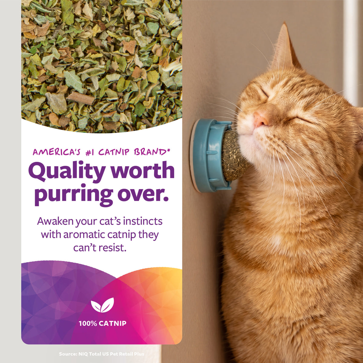 SmartyKat Smarty Stickups — product image 2