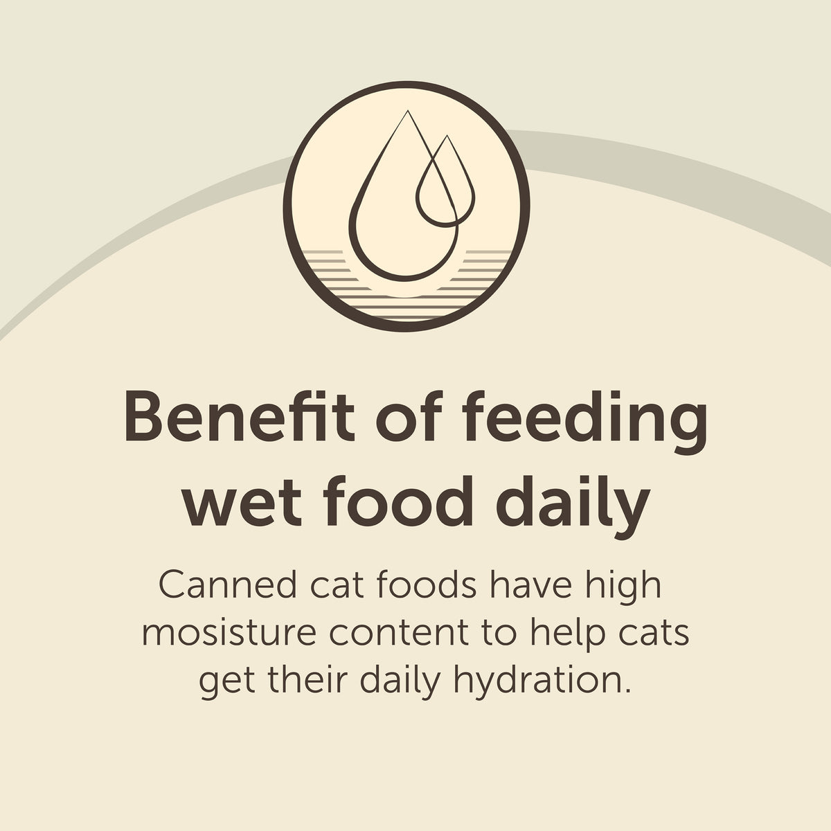 Special Kitty Ocean Whitefish and Tuna Wet Cat Food, 13 oz Can — product image 2