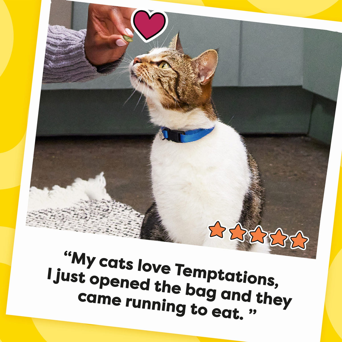 Temptations Classic Tempting Tuna Flavor Crunchy And Soft Treats For Cats, 1.7 Oz Pouch — product image 11