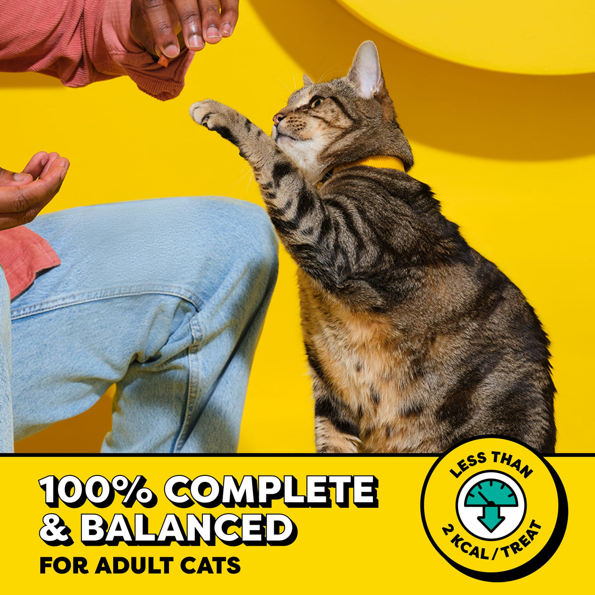 Temptations Classic Tempting Tuna Flavor Crunchy And Soft Treats For Cats, 1.7 Oz Pouch — product image 4