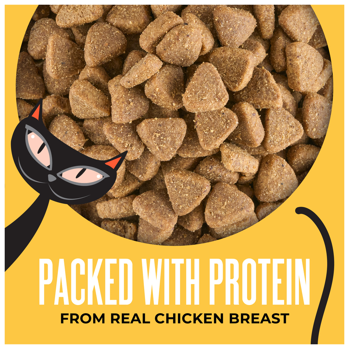 Tiki Cat Born Carnivore Indoor Health Dry Cat Food, Chicken & Turkey Meal, 3 lbs. Bag — product image 3
