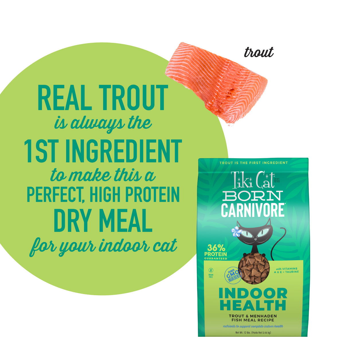 Tiki Cat Born Carnivore Indoor Health Dry Cat Food, Trout & Menhaden Fish Meal, 12 lbs. Bag — product image 6