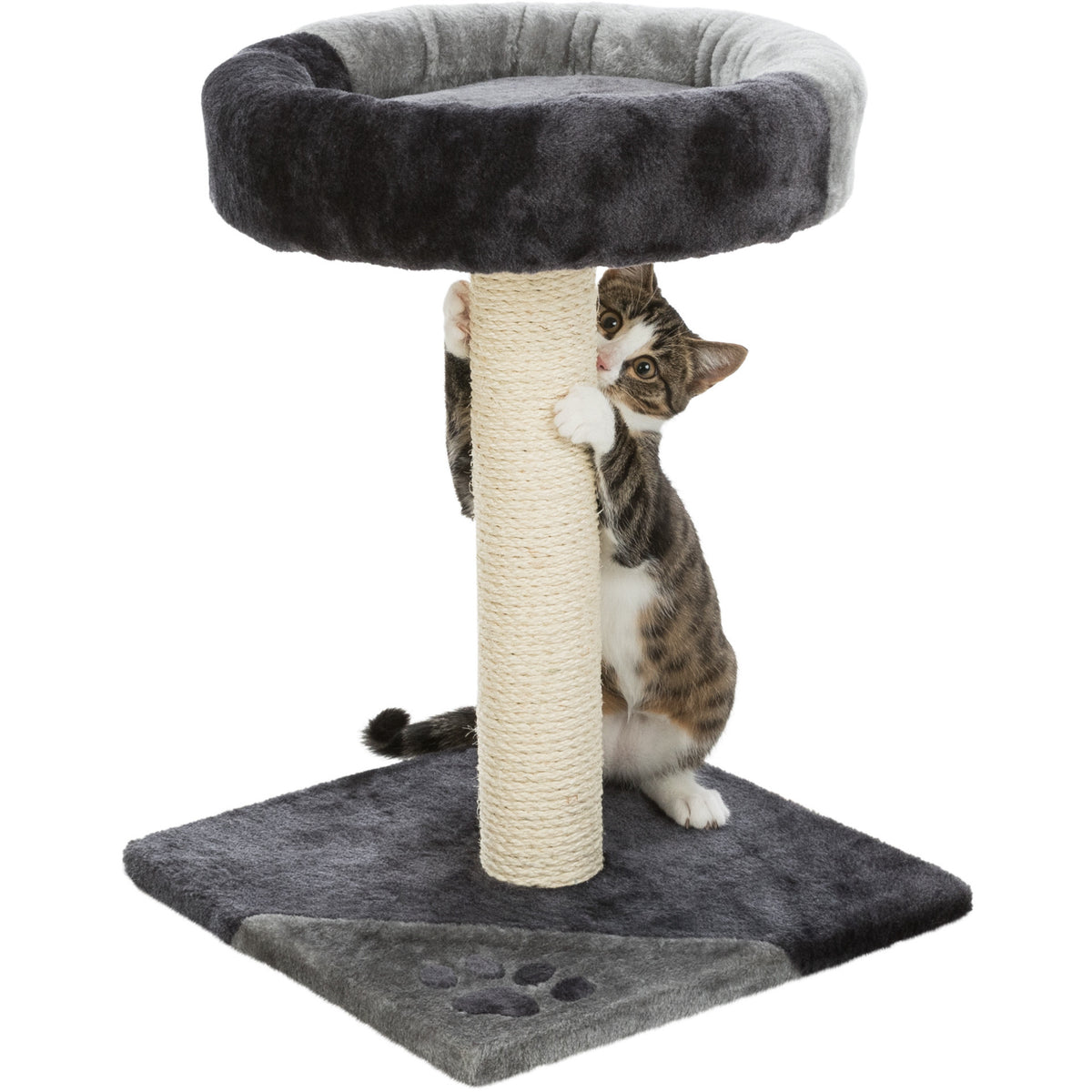 TRIXIE Junior Tarifa  Plush & Sisal 20.5" Scratching Post with Padded Platform, Dark Gray — product image 4