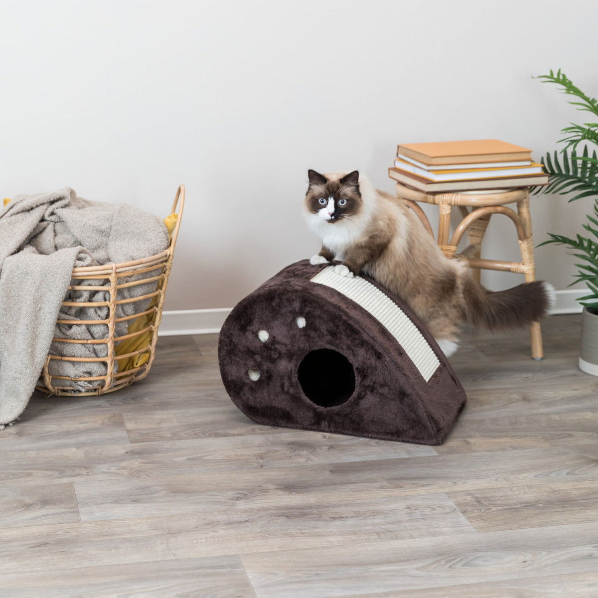 TRIXIE Topi Plush Cover Indoor Cat Condo with Sisal Scratching Surface & Cat Toys, Brown — product image 6