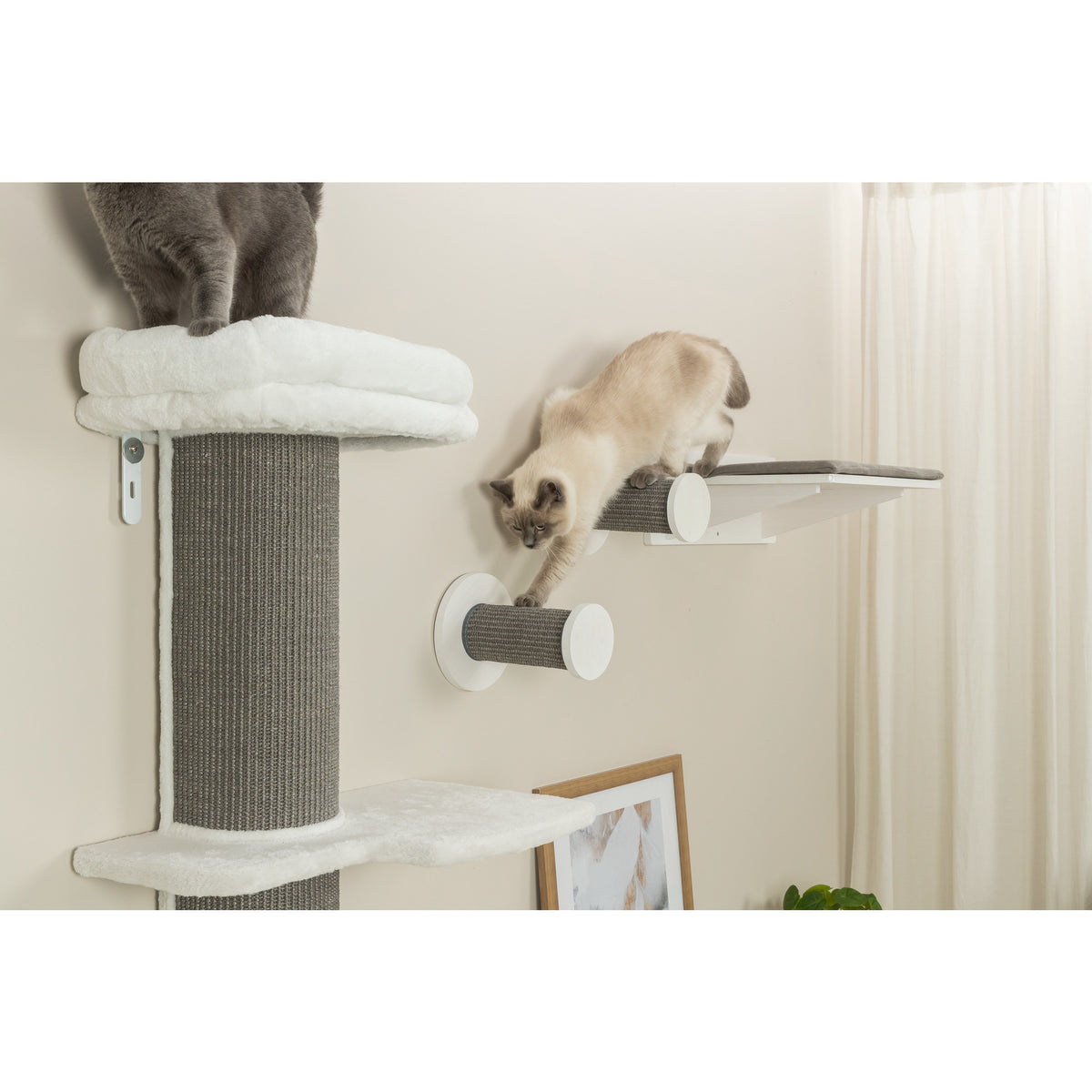 TRIXIE Wall Set 3 Wall Mounted Sisal Cat Perch System with 3 Scratcher Steps, Gray — product image 2