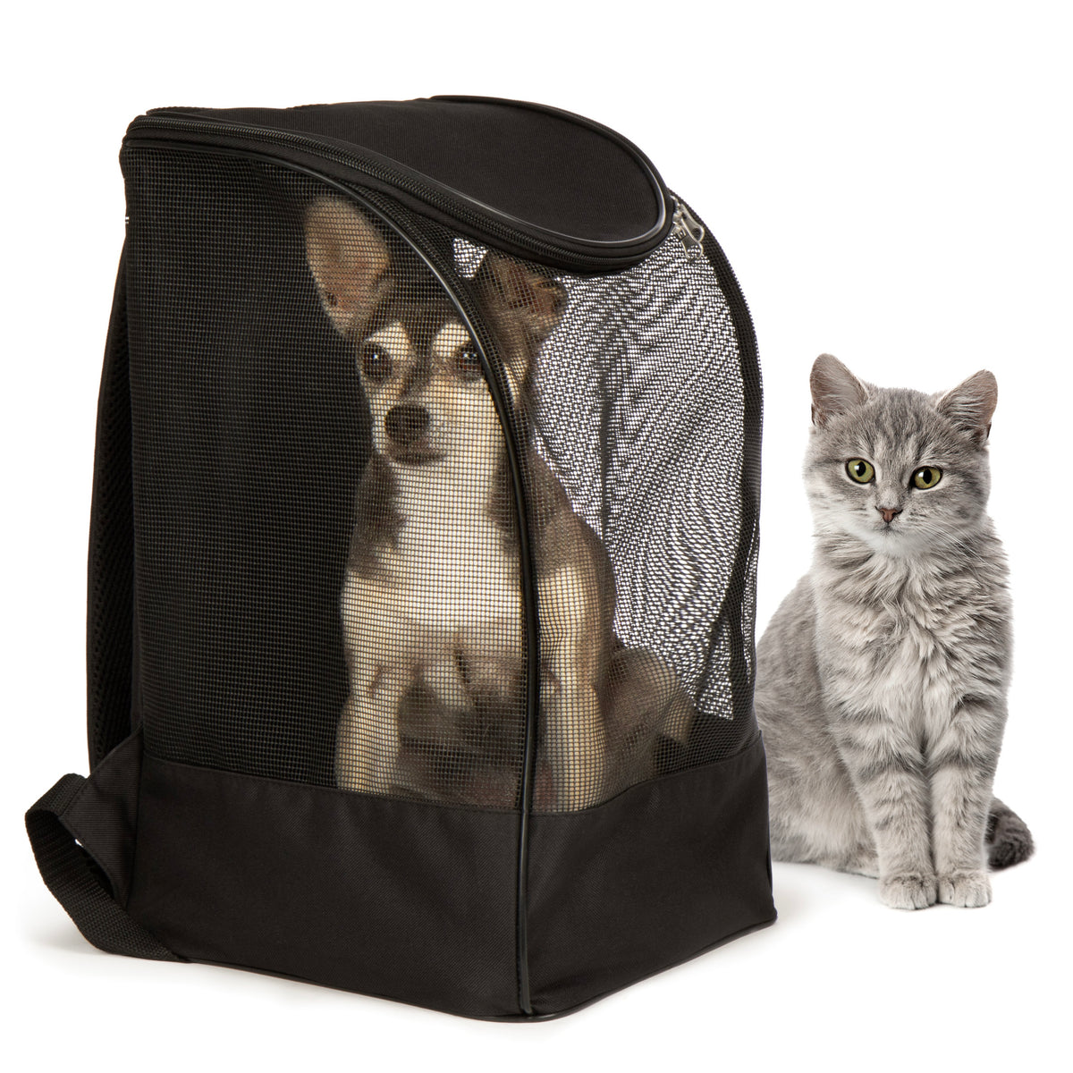 TrustyPup® Pet Backpack, Black, Medium, 16 Lb Limit