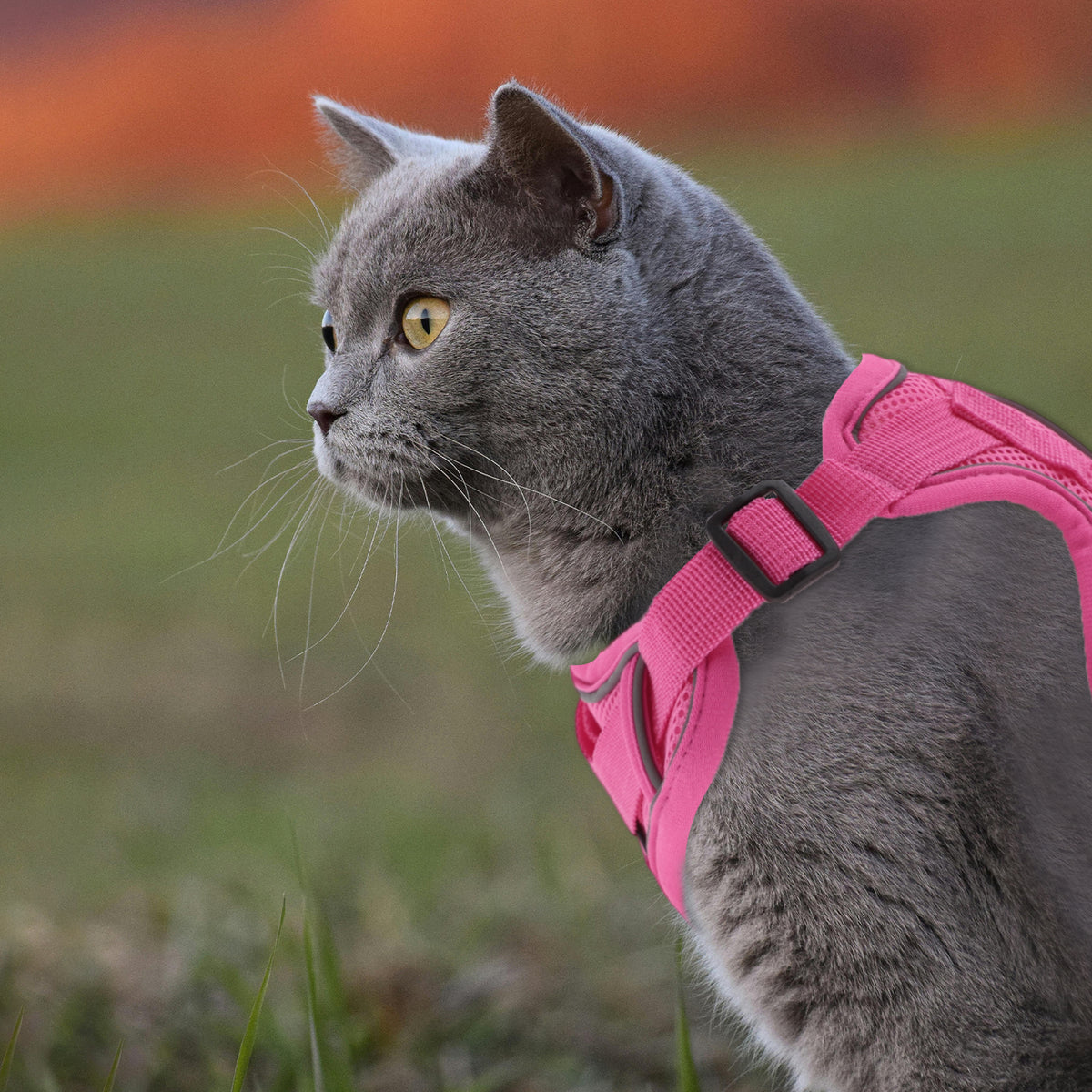 Unique Bargains Adjustable Cat Harness Leash Set With Reflective Strips Rose Red S — product image 5