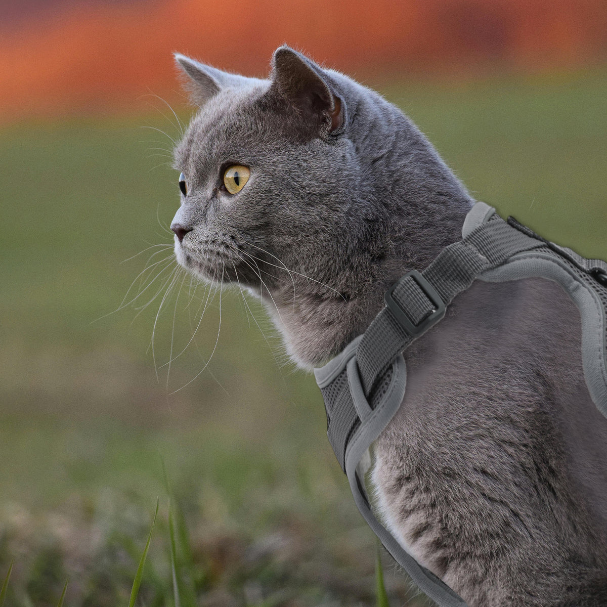 Unique Bargains Adjustable Cats Harness and Leash Set with Reflective Strips Gray L — product image 5