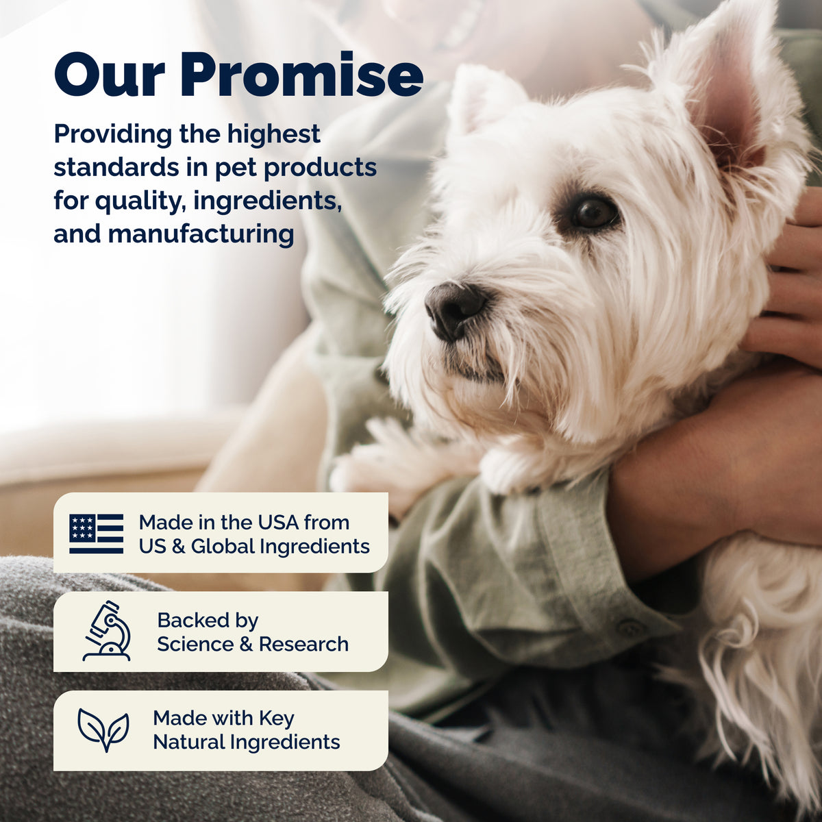 Vetnique Labs Glandex Pet Wipes, Cleaning & Deodorizing, Fresh Scent, for Dogs & Cats, 40 Count — product image 11