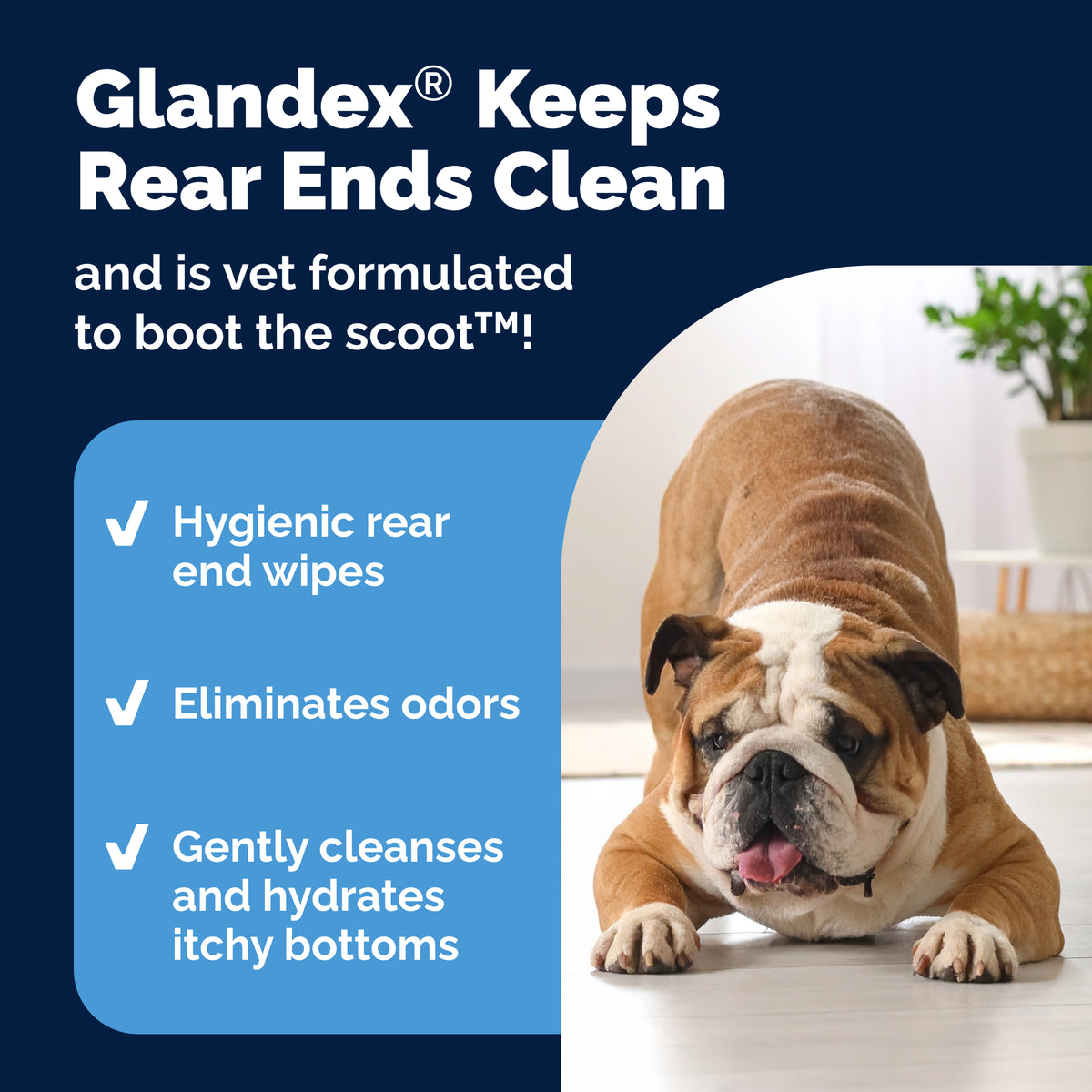 Vetnique Labs Glandex Pet Wipes, Cleaning & Deodorizing, Fresh Scent, for Dogs & Cats, 40 Count — product image 4