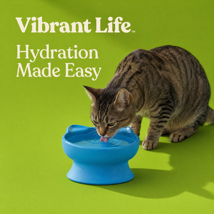Vibrant Life 0.8-Cup Plastic Elevated Cat Ear Bowl, Blue — product image 4