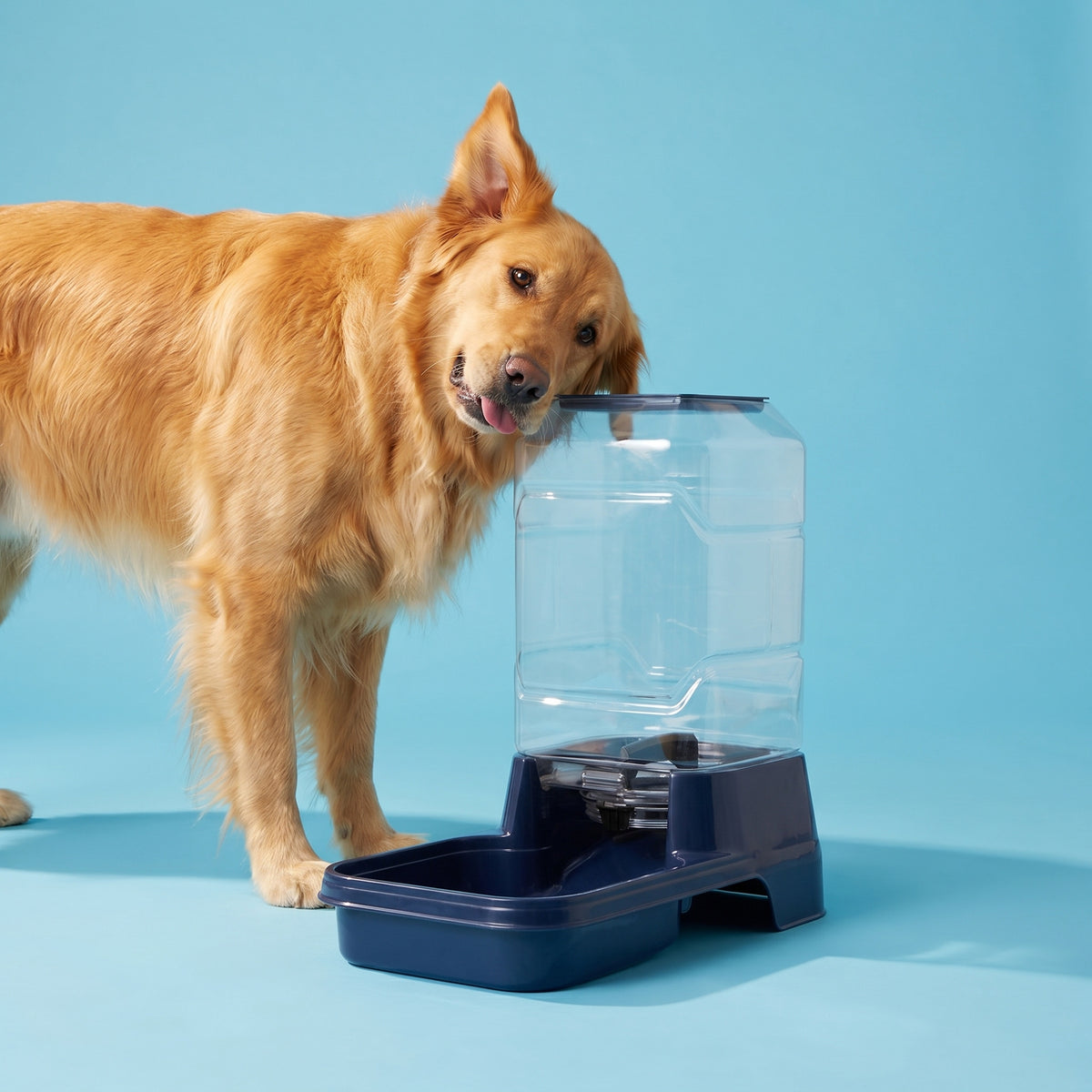 Vibrant Life 10 lb Gravity Feeder for Large Pets, Navy — product image 2
