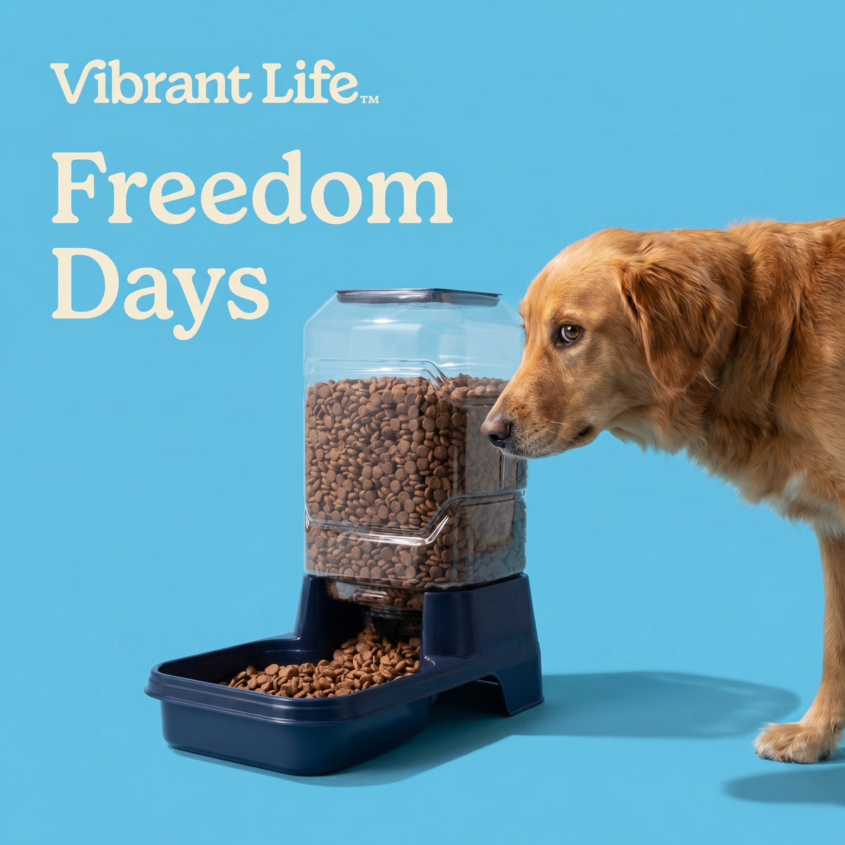 Vibrant Life 10 lb Gravity Feeder for Large Pets, Navy — product image 4