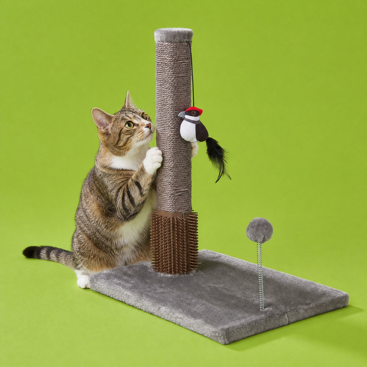 Vibrant Life 19" Cat Scratcher Post with Interactive Toy, Gray — product image 2
