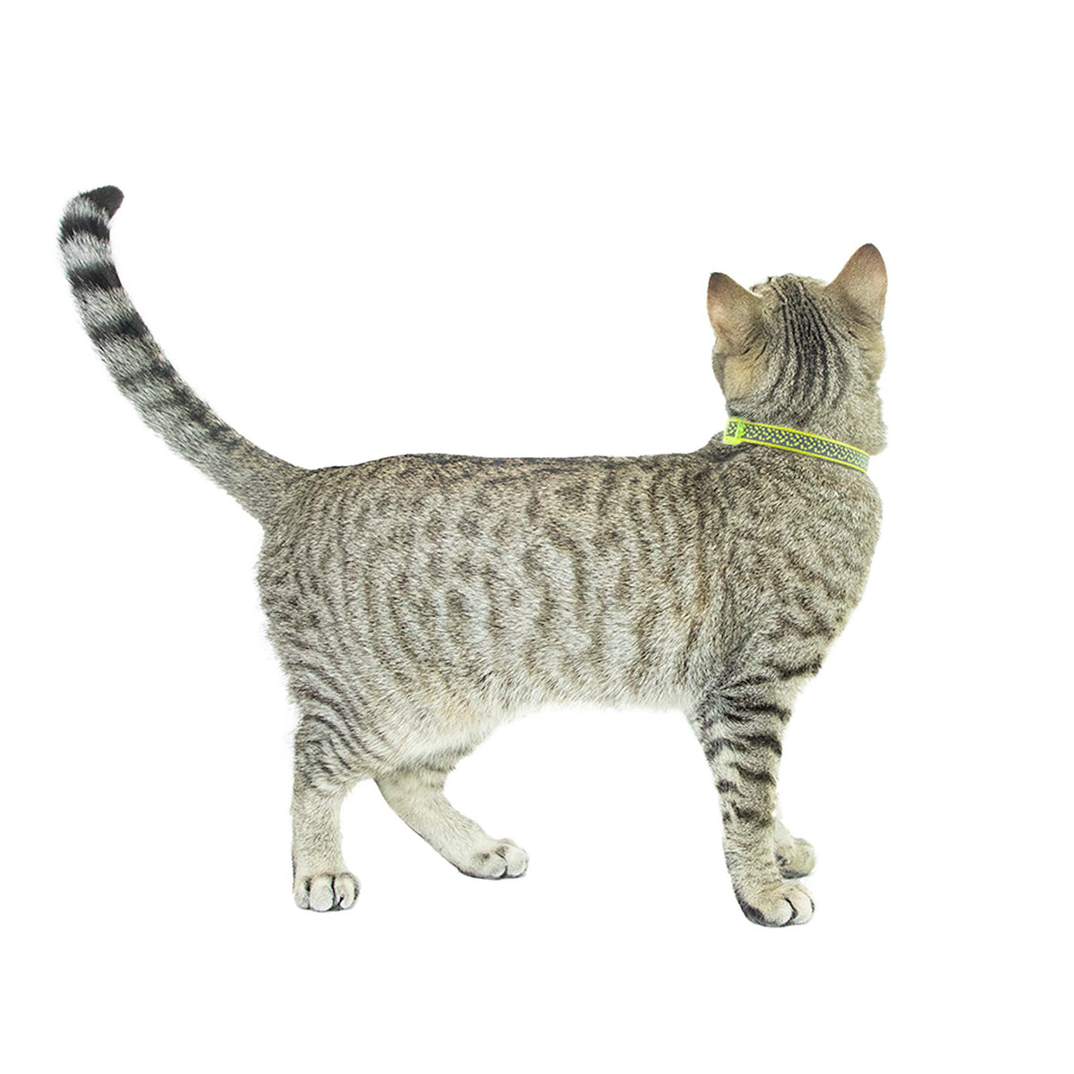 Vibrant Life 2-Pack Cat Collar, Multi Tie Dye and Yellow Reflective, One Size — product image 7