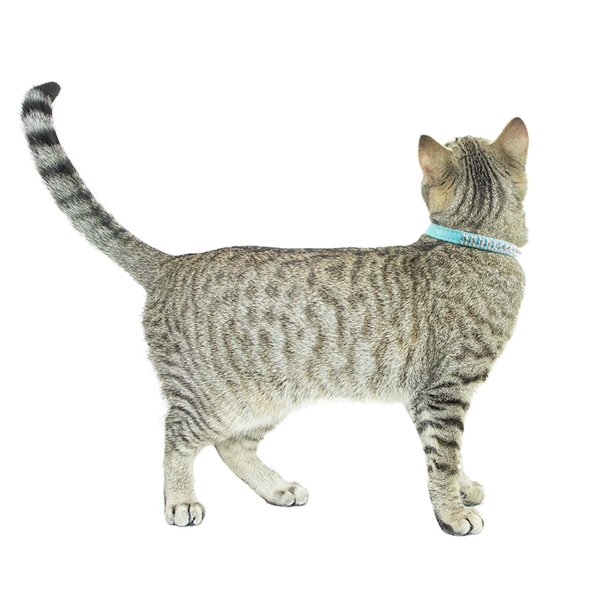 Vibrant Life 2-Pack Cat Collar, Teal and Blue Rhinestone, One Size — product image 7
