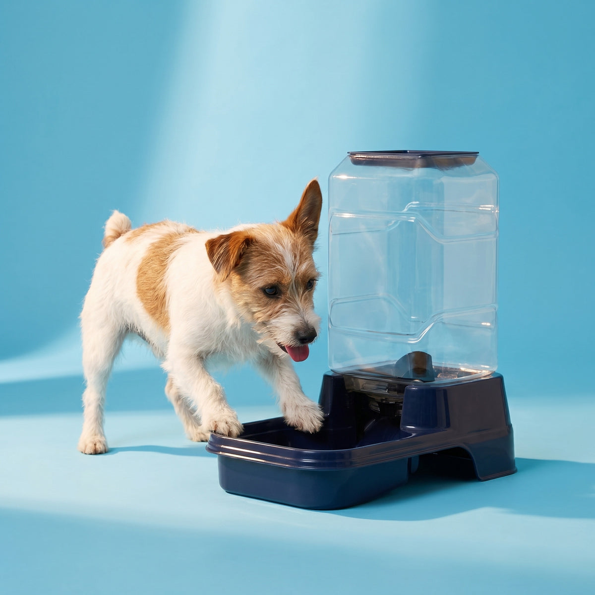 Vibrant Life 3 lb Gravity Feeder for Small Pets, Navy — product image 2