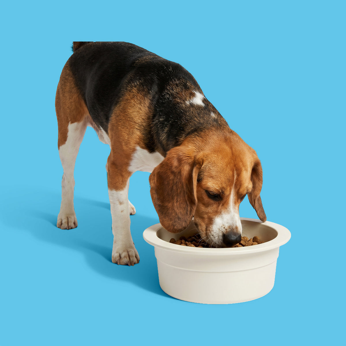 Vibrant Life 6.5-Cup Medium Crock Pet Bowl, Light Beige — product image 2