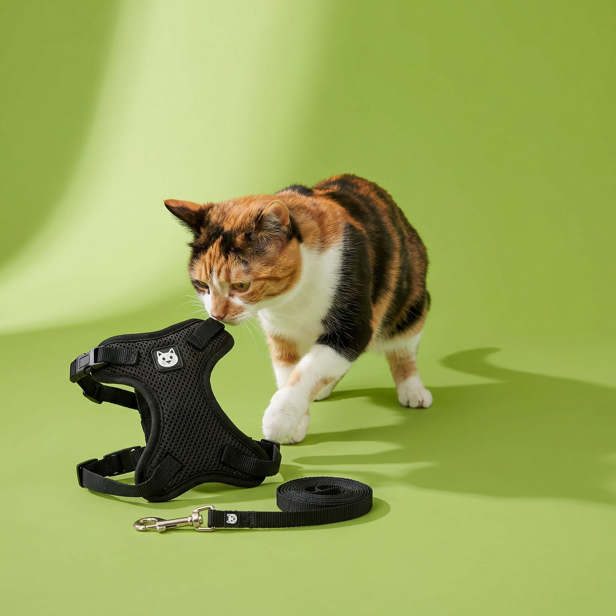 Vibrant Life Adjustable Cat Harness and Leash Set, Black, One Size — product image 2
