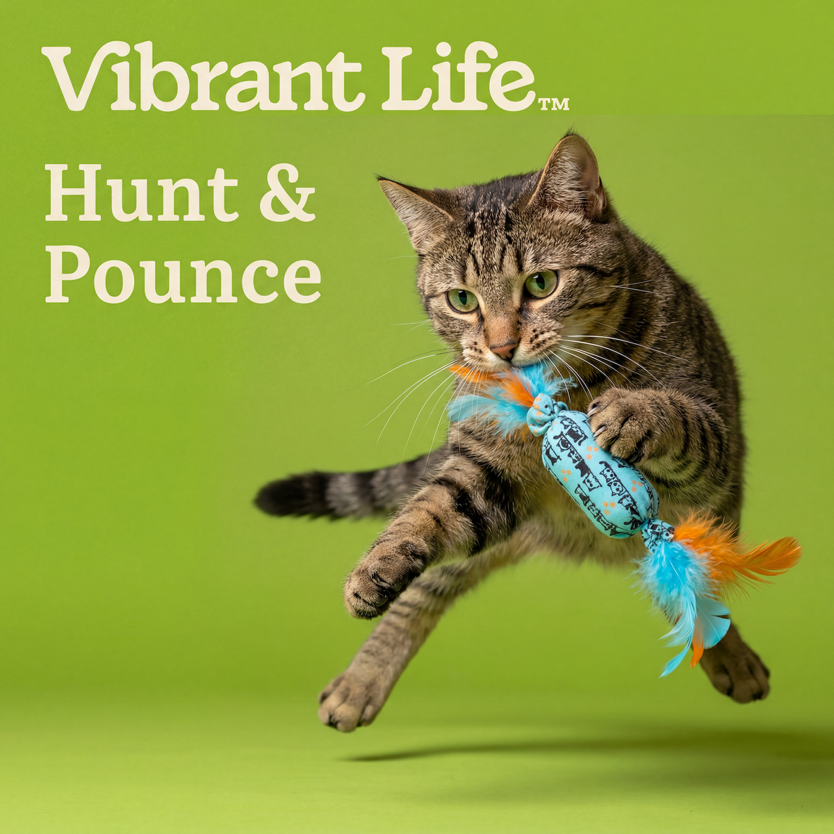 Vibrant Life Blue Candy-Shaped Catnip Cat Toy with Feathers — product image 4
