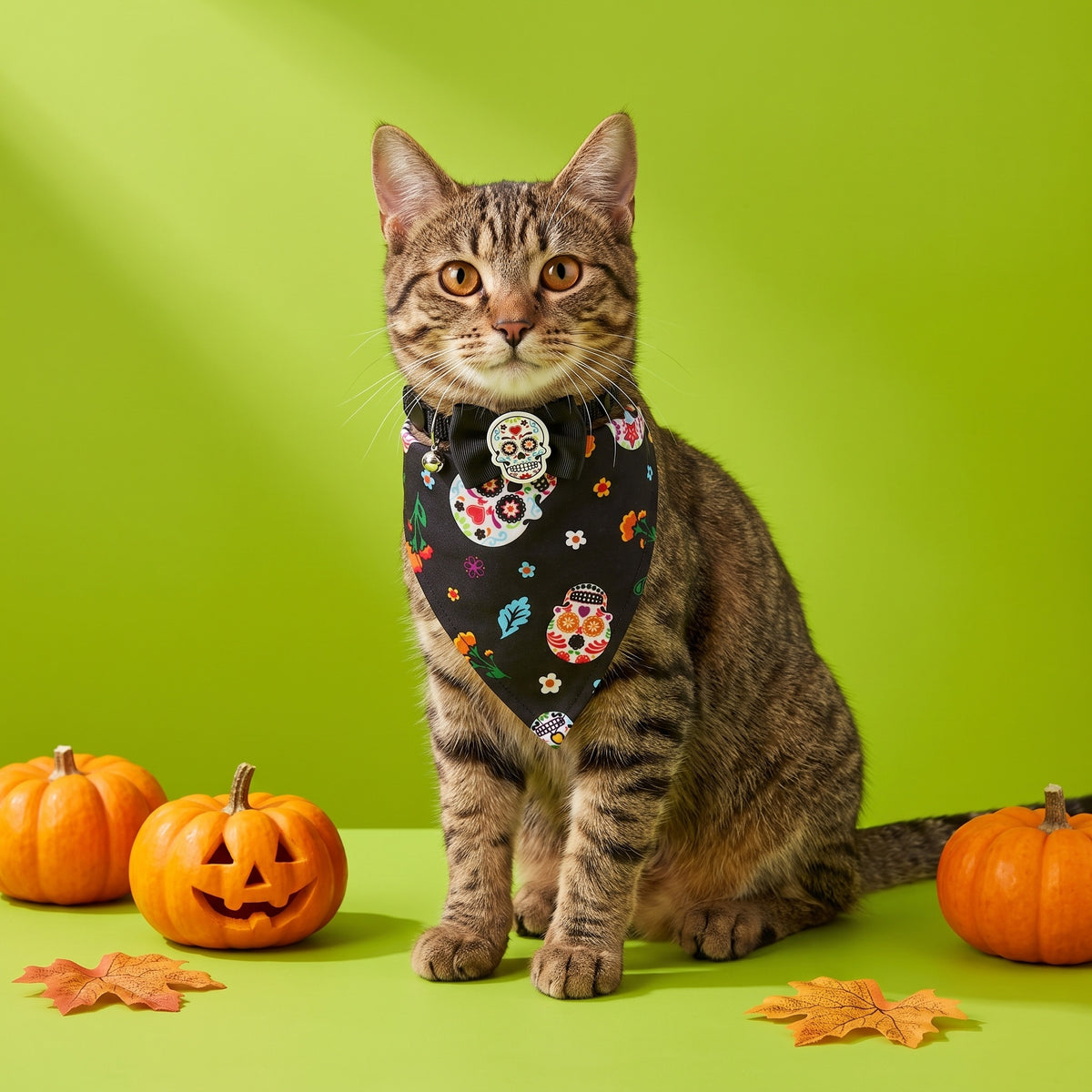 Vibrant Life Halloween Cat Collar Slider Set with Bandana and Bow Tie, Day of the Dead, Black, One Size, 3 Pieces — product image 2