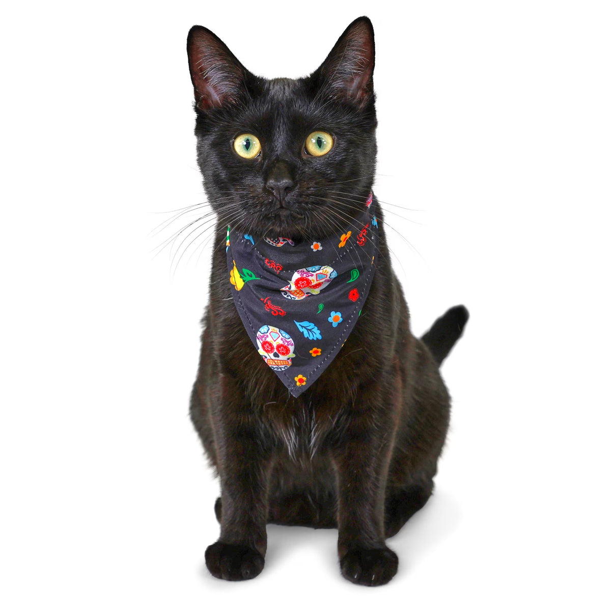 Vibrant Life Halloween Cat Collar Slider Set with Bandana and Bow Tie, Day of the Dead, Black, One Size, 3 Pieces — product image 4