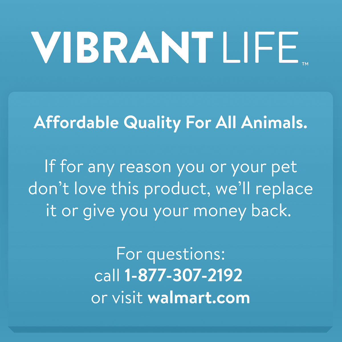 Vibrant Life Harness and Leash for Cats, One Size — product image 6