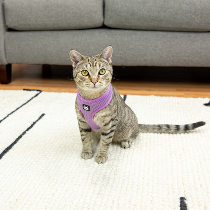 Vibrant Life Purple Sparkle Cat Harness and Leash Set, One Size — product image 3