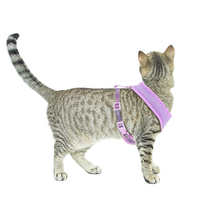 Vibrant Life Purple Sparkle Cat Harness and Leash Set, One Size — product image 4