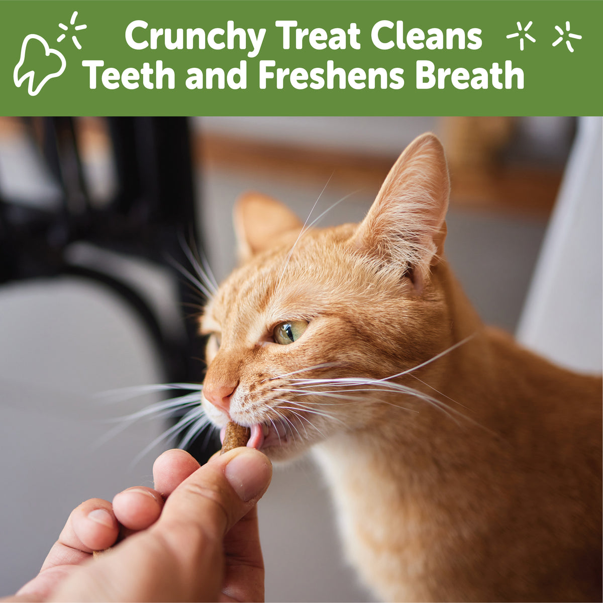 Wellness WHIMZEES Cat Dental Treats, Freshens Breath, Chicken Flavor, 4.5 oz Bag — product image 4