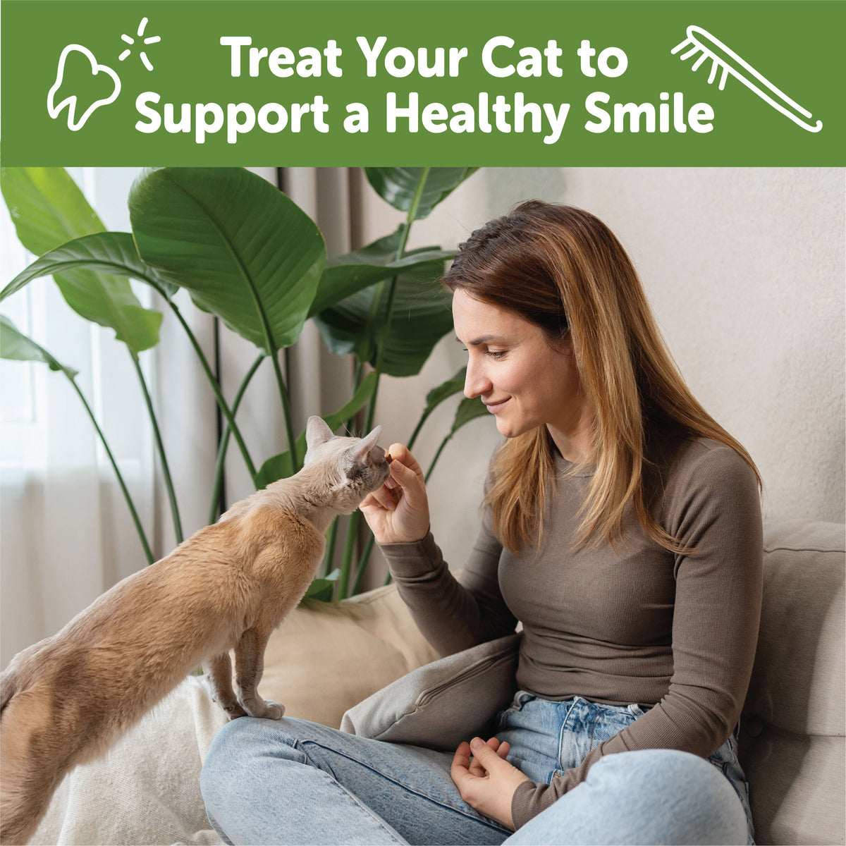 Wellness WHIMZEES Cat Dental Treats, Freshens Breath, Chicken Flavor, 4.5 oz Bag — product image 5