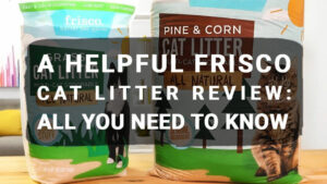 Read more about the article A Helpful Frisco Cat Litter Review: All You Need to Know