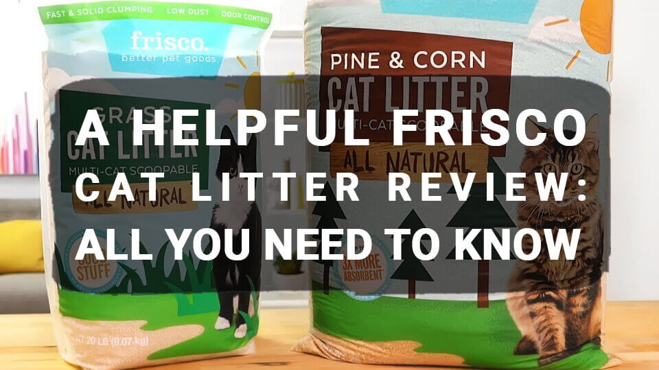 You are currently viewing A Helpful Frisco Cat Litter Review: All You Need to Know