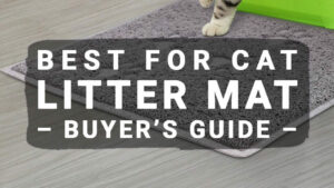 Read more about the article Cat Litter Mat – Buyer’s Guide (Updated 2020)