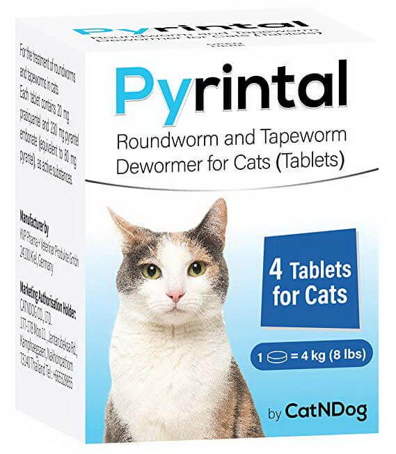 The Best Cat Dewormer to Remove All Worms from Your Feline Friend’s