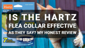 Read more about the article Is The Hartz Flea Collar Effective As They Say? My Honest Review