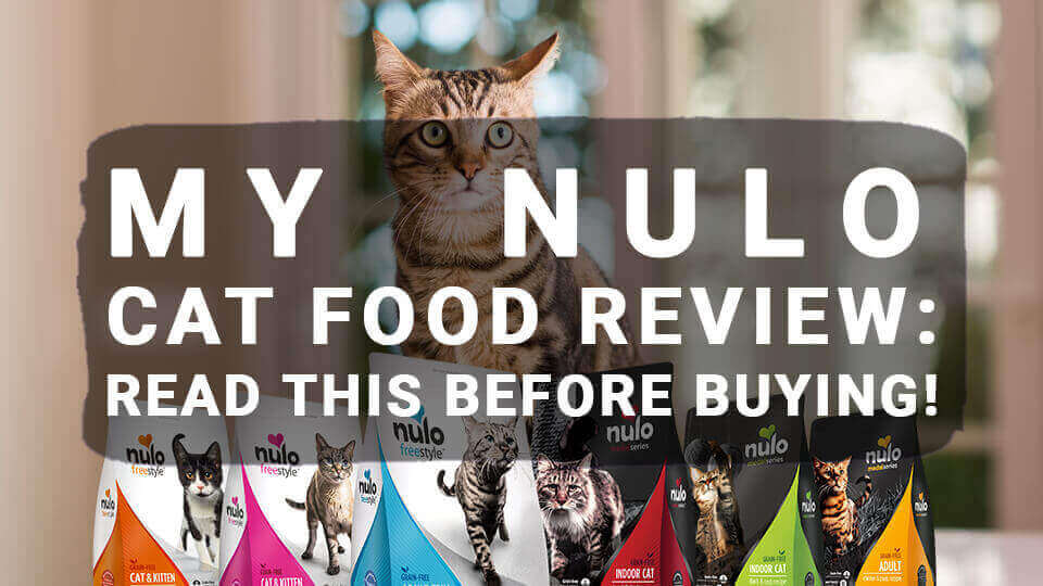 Nulo dry cat outlet food review