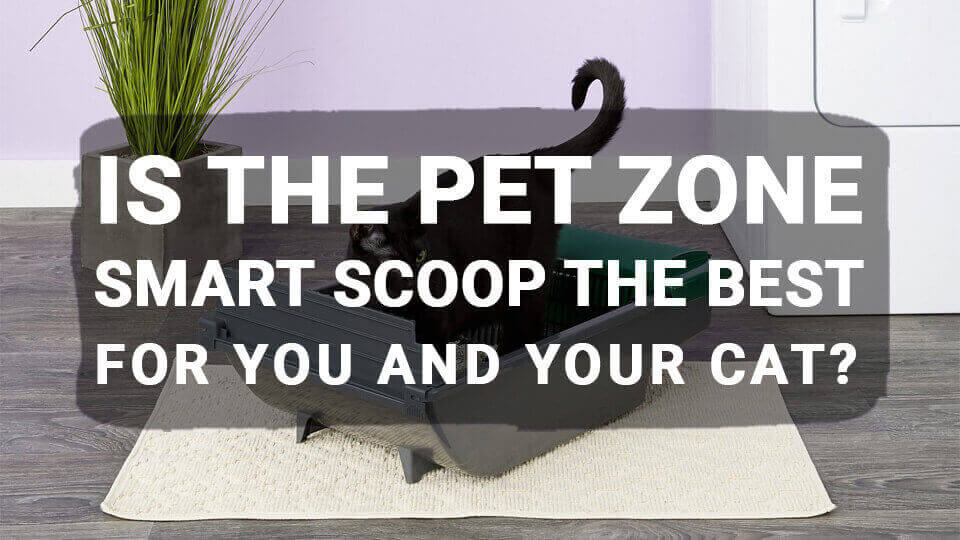 You are currently viewing Is the Pet Zone Smart Scoop the Best For You and Your Cat?