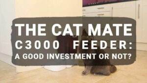 Read more about the article The Cat Mate C3000 Feeder: A Good Investment or Not?