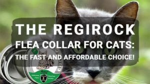 Read more about the article The REGIROCK Flea Collar For Cats: The Fast and Affordable Choice!
